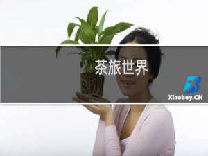 茶旅世界（十大魅力茶乡）