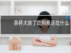 茶杯犬除了吃狗粮还吃什么