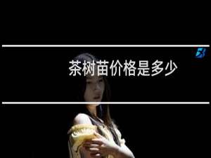 茶树苗价格是多少