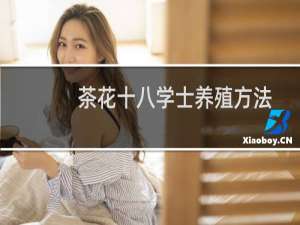 茶花十八学士养殖方法