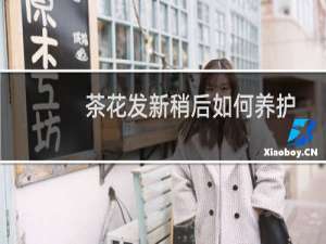 茶花发新稍后如何养护