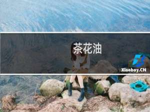 茶花油