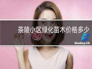茶陵小区绿化苗木价格多少