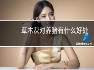 草木灰对养猪有什么好处