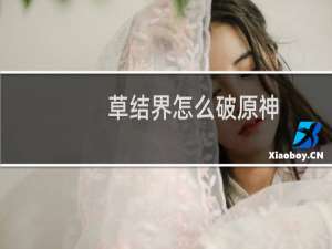 草结界怎么破原神