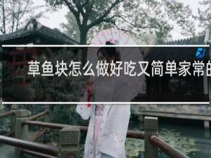 草鱼块怎么做好吃又简单家常的