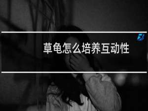 草龟怎么培养互动性