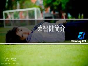 荣智健简介