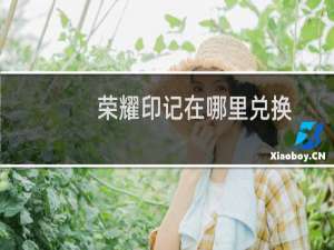 荣耀印记在哪里兑换（荣耀印记在哪换装备）