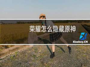 荣耀怎么隐藏原神