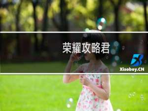 荣耀攻略君