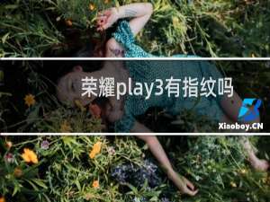 荣耀play3有指纹吗