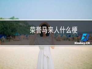 荣誉马来人什么梗