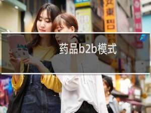 药品b2b模式