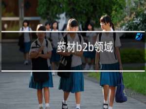 药材b2b领域