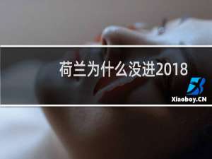 荷兰为什么没进2018世界杯