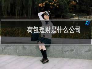 荷包理财是什么公司
