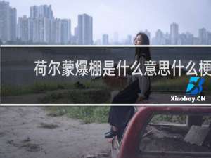 荷尔蒙爆棚是什么意思什么梗