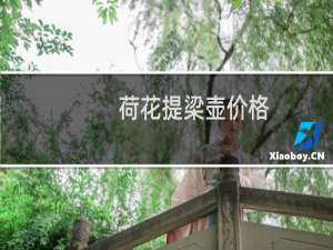 荷花提梁壶价格