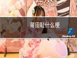 莆田鞋什么梗