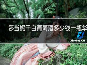 莎当妮干白葡萄酒多少钱一瓶华东