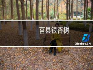 莒县银杏树