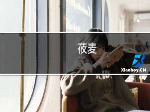 莜麦（平鲁特产）