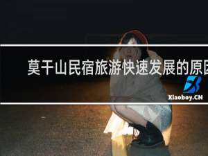 莫干山民宿旅游快速发展的原因