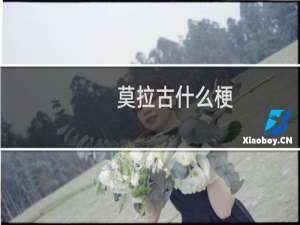 莫拉古什么梗？什么梗