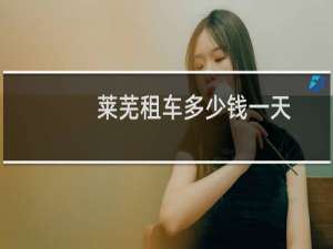 莱芜租车多少钱一天
