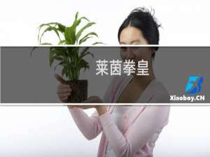 莱茵拳皇