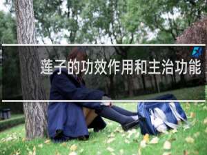 莲子的功效作用和主治功能
