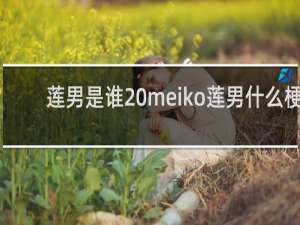 莲男是谁 meiko莲男什么梗