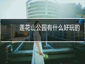 莲花山公园有什么好玩的