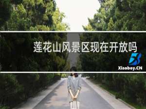 莲花山风景区现在开放吗
