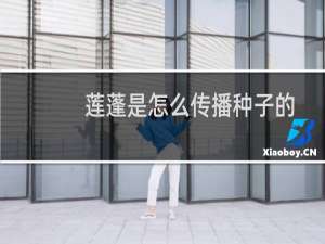 莲蓬是怎么传播种子的