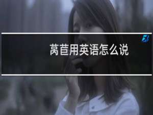 莴苣用英语怎么说