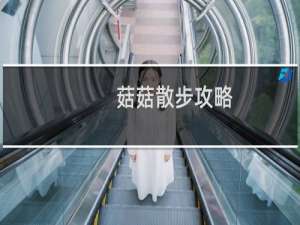 菇菇散步攻略