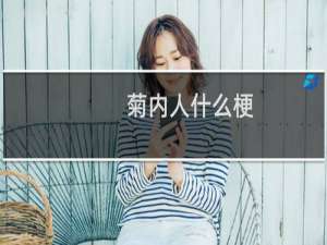 菊内人什么梗