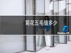 菊花五毛值多少