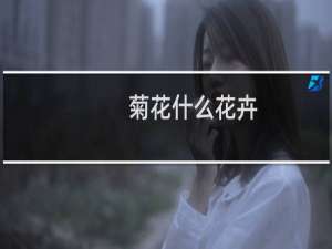 菊花什么花卉