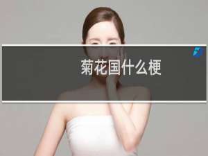 菊花国什么梗？什么梗
