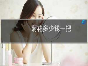 菊花多少钱一把