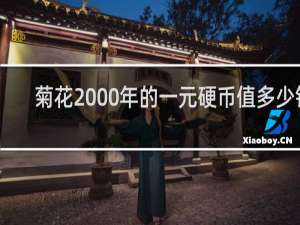 菊花2000年的一元硬币值多少钱