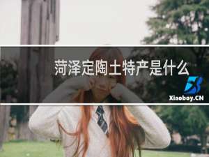 菏泽定陶土特产是什么