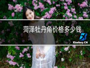 菏泽牡丹角价格多少钱