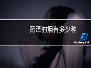 菏泽的烟有多少种
