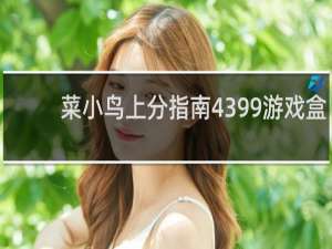 菜小鸟上分指南4399游戏盒