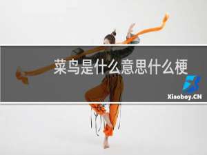 菜鸟是什么意思什么梗