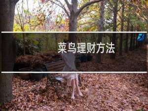 菜鸟理财方法